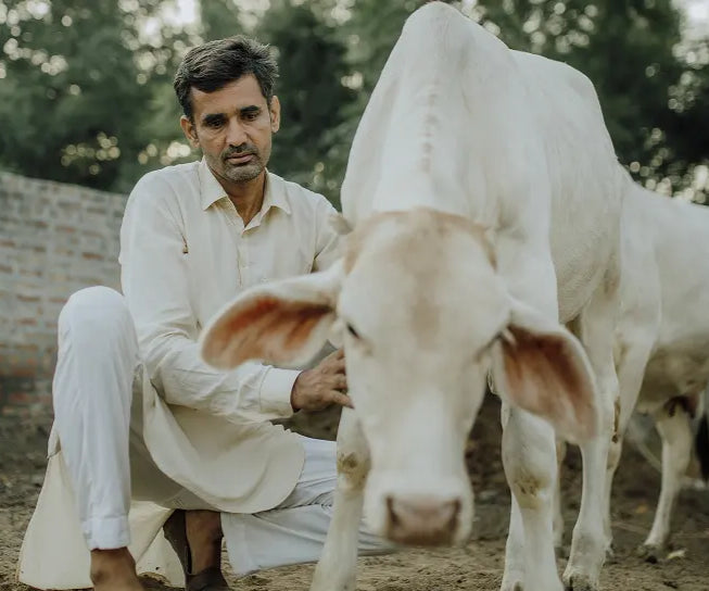 BABLU JHAKHAR