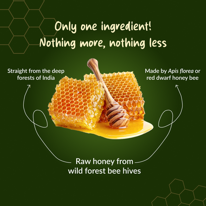 Raw Wild Forest Honey