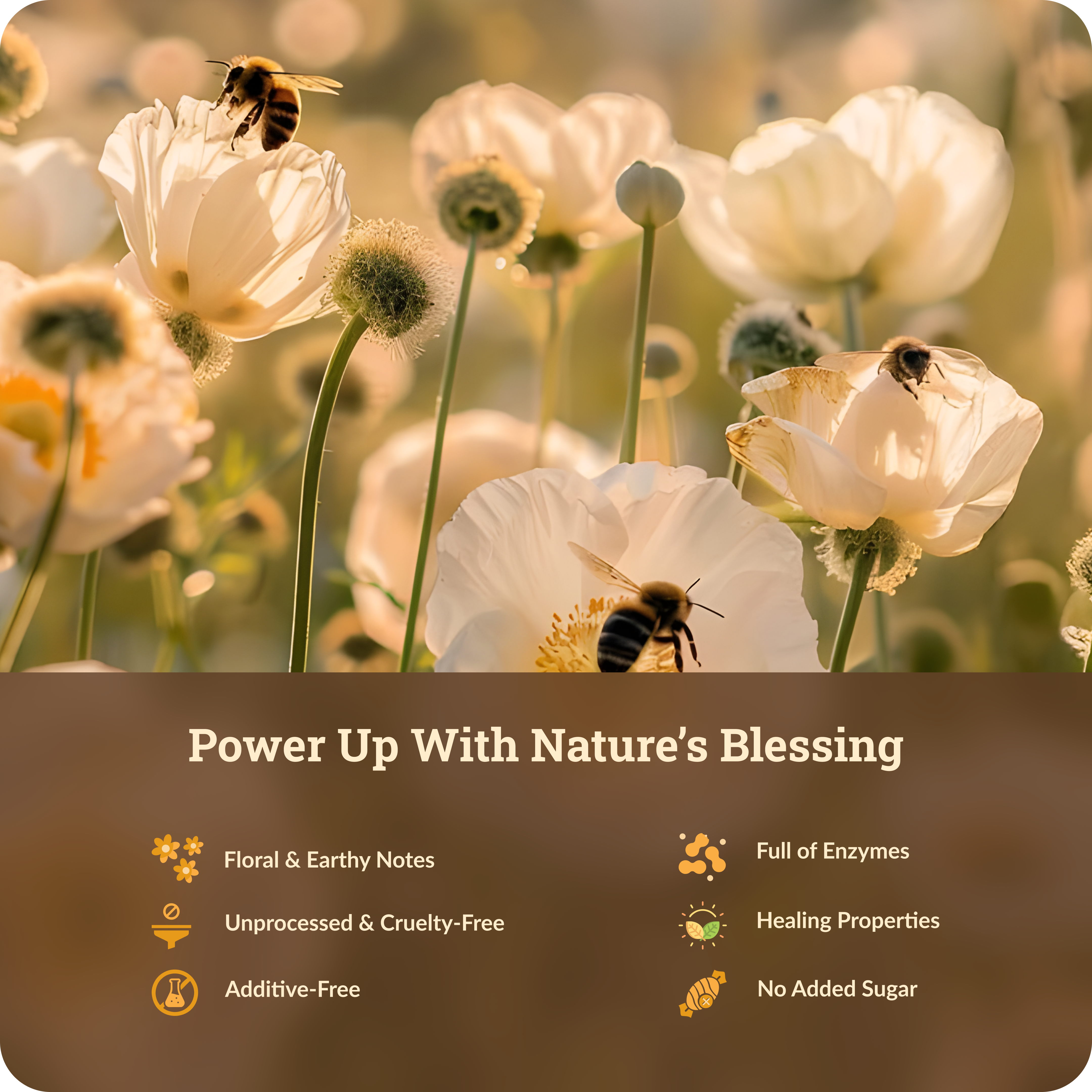 Raw Wild Forest Honey