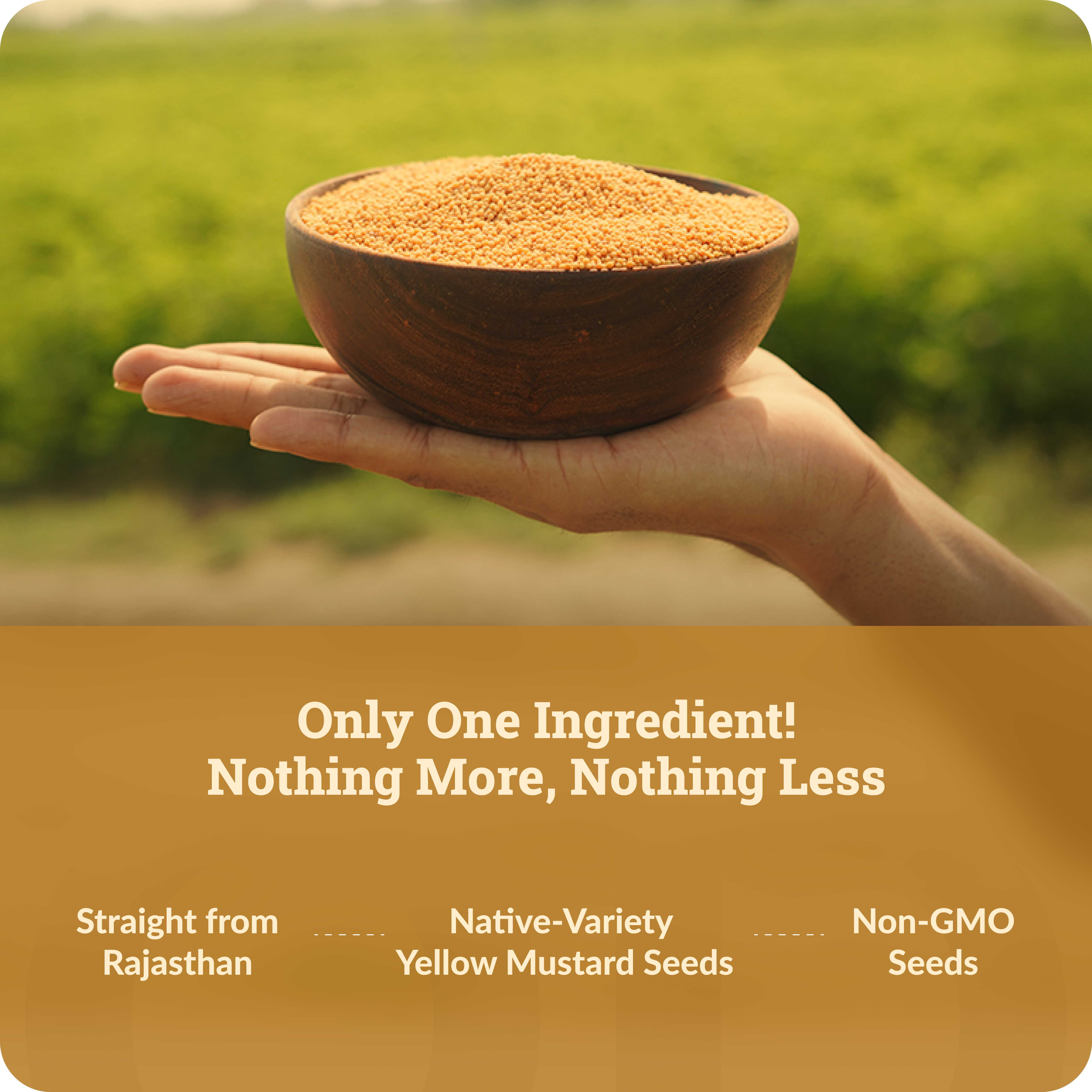 Wood-Pressed Yellow Mustard Oil